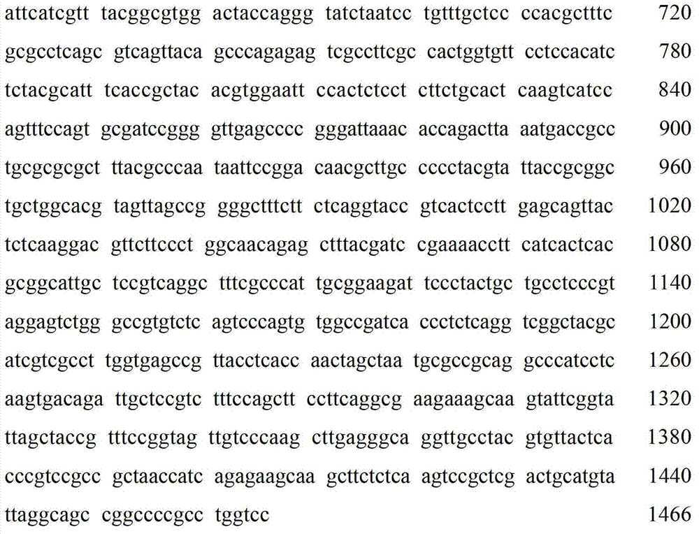 Paenibacillus xylanilyticus strain and method for preparing xyloglucanase by using same