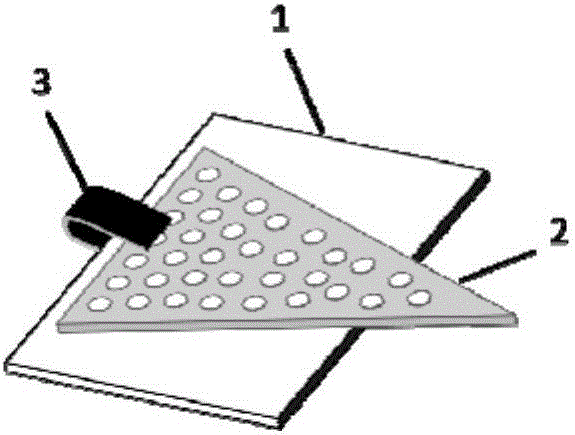 Qualitative and quantitative detection method for bacterium AB5 enterotoxin proteins