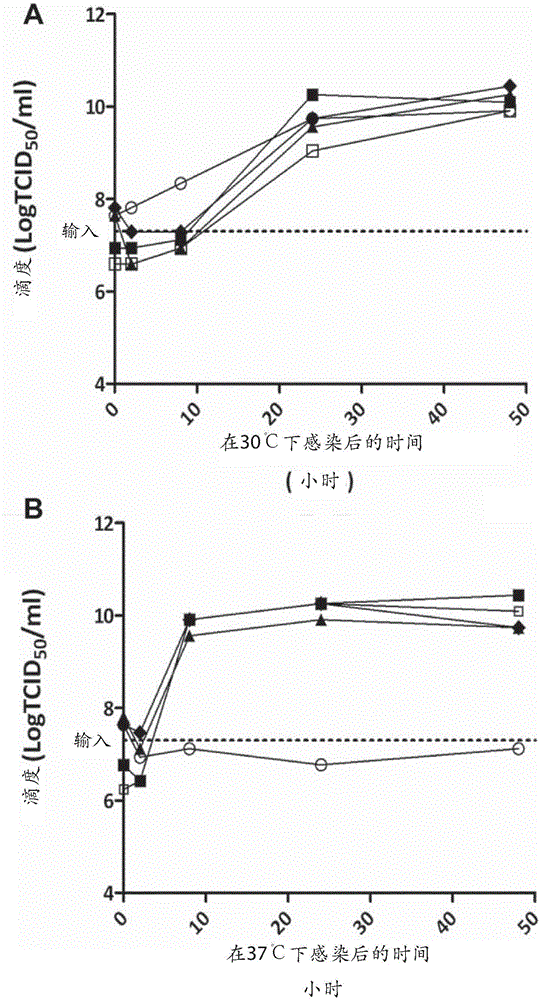 Cold-adapted-viral-attenuation (cava) and novel attenuated poliovirus strains