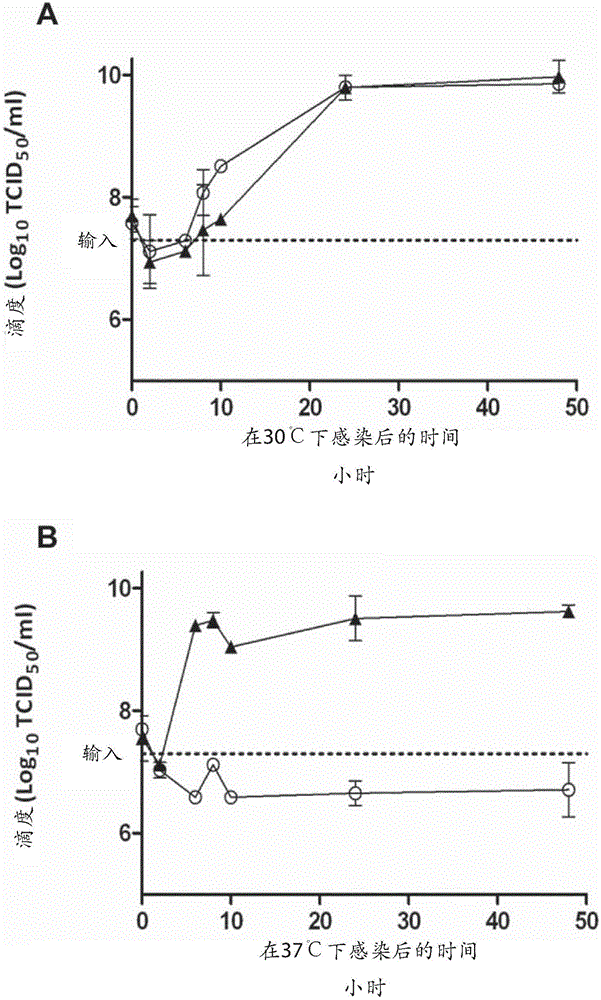 Cold-adapted-viral-attenuation (cava) and novel attenuated poliovirus strains