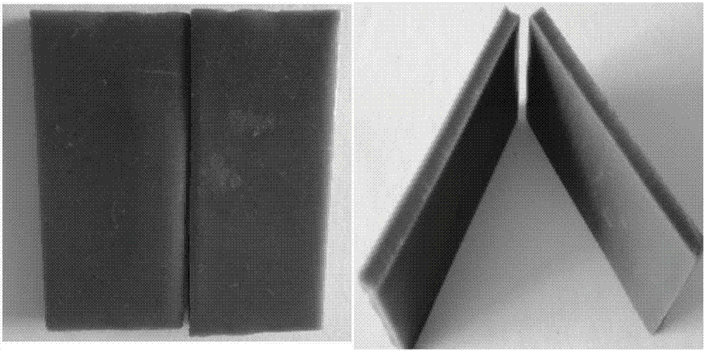 Crocodile skin glue and preparation method thereof