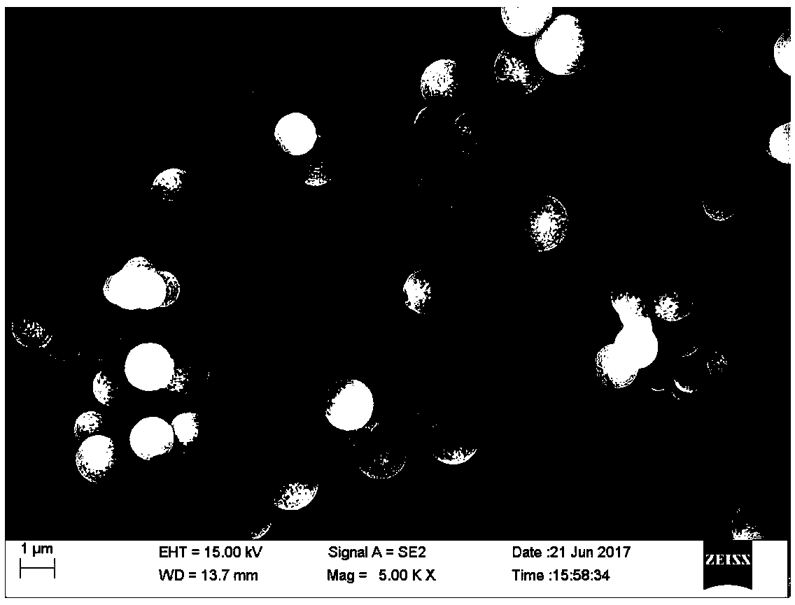 Preparation method of collagen peptide grafted hydrothermal carbon microsphere absorbing agent