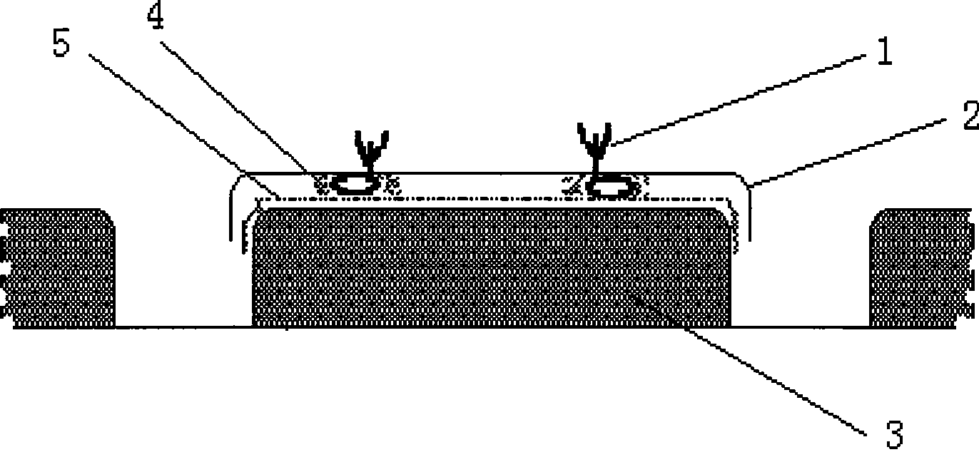 Quick efficient breeding method of detoxicated small seed potato