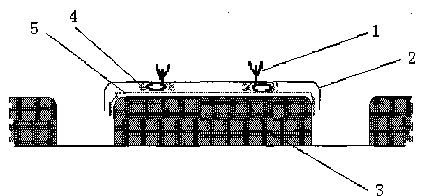 Quick efficient breeding method of detoxicated small seed potato