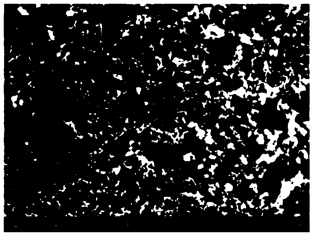 Lithium metal negative electrode material, preparation method and application thereof