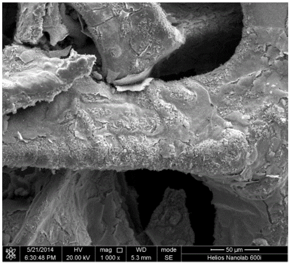 Three-dimensional macroporous graphene, carbon nano tube and molybdenum disulfide composite material, and preparation method and application of composite material