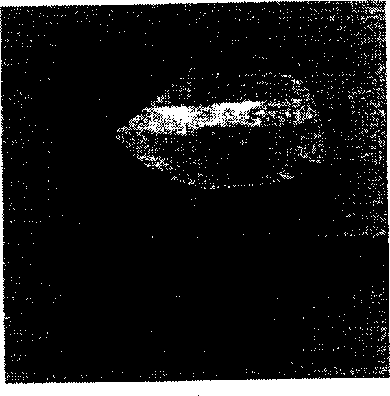 Large size strontium borophosphate nonlinear optical crystal and its growth method and use