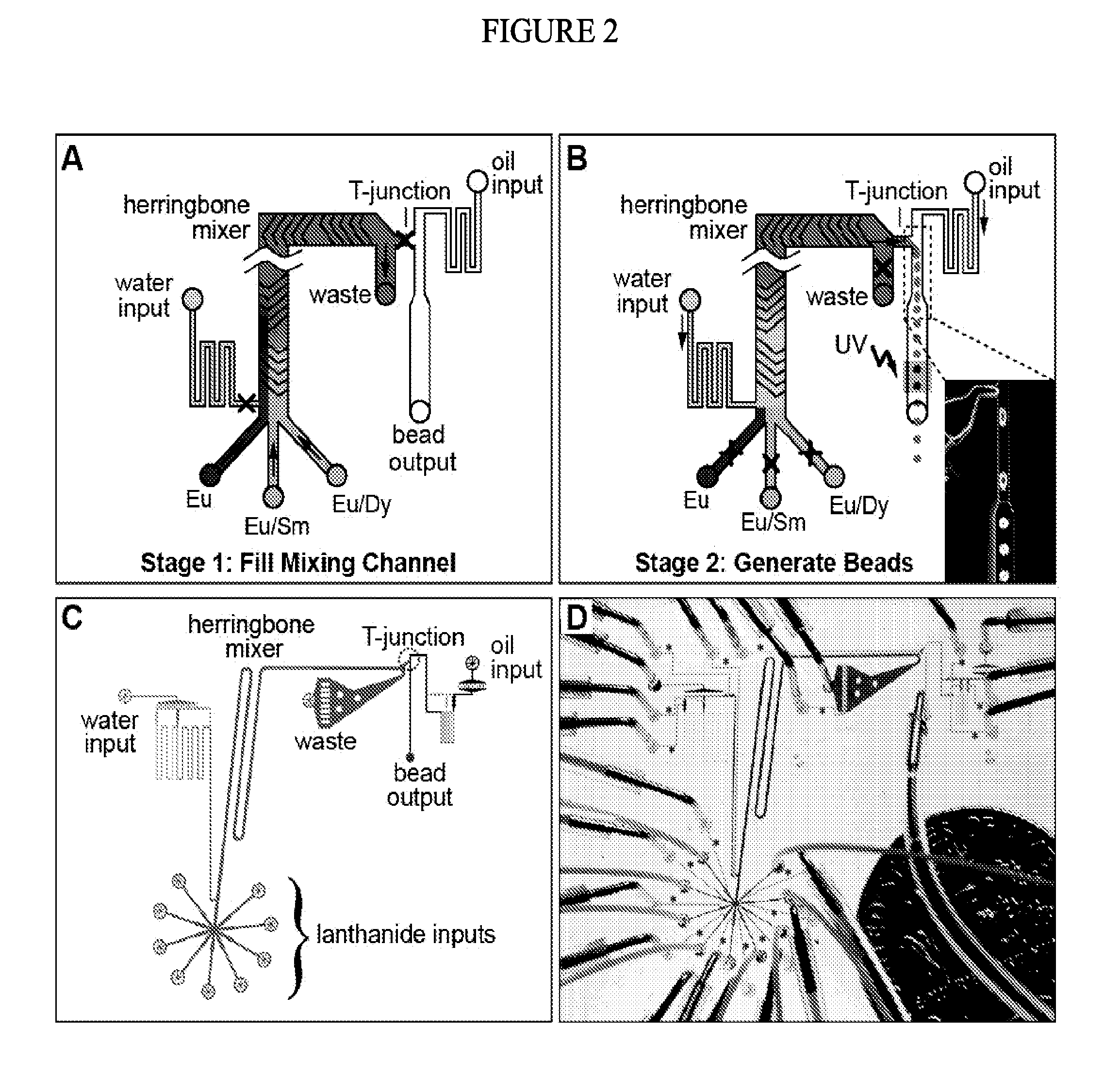 Spectrally encoded microbeads and methods and devices for making and using same