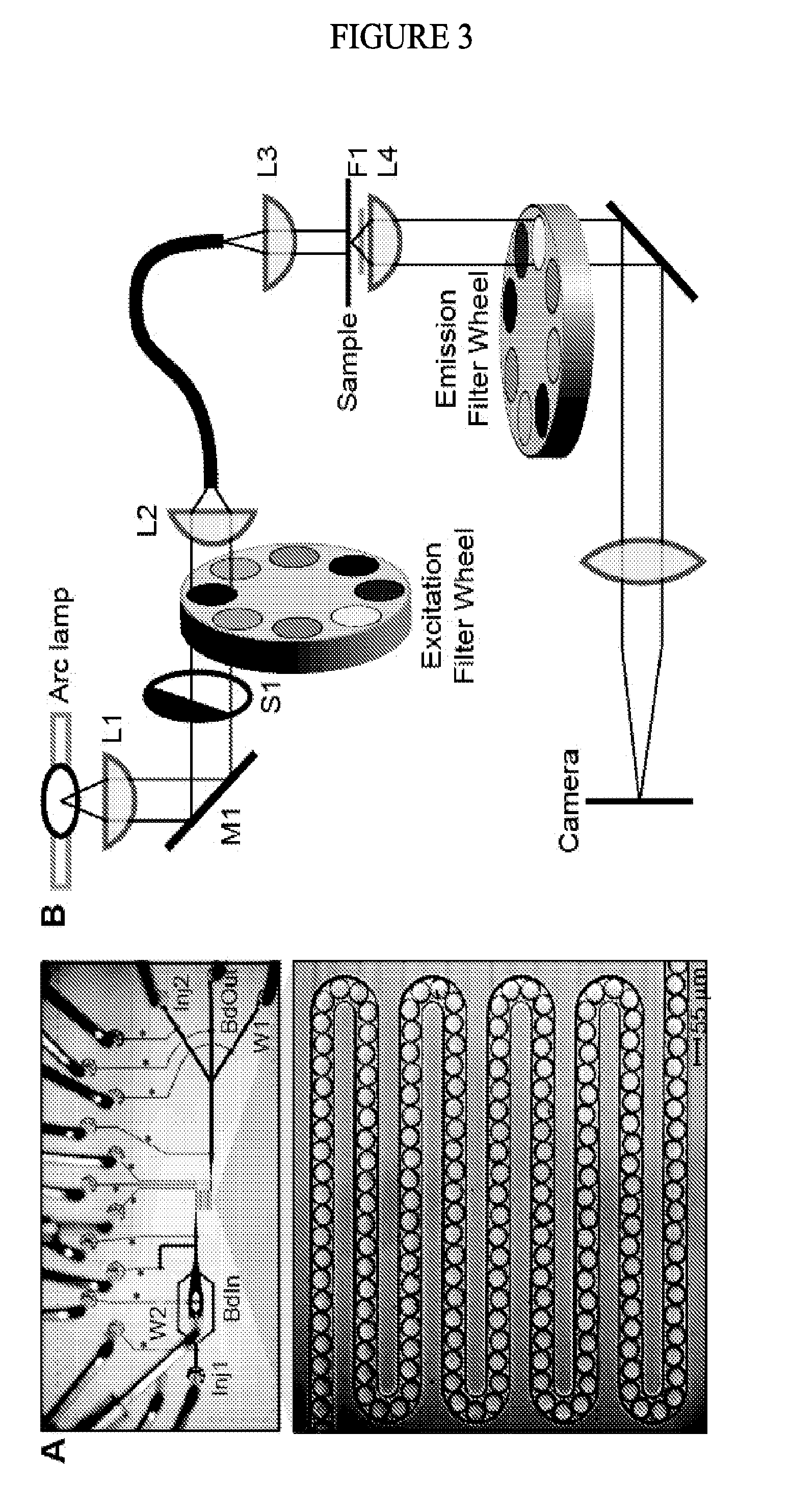 Spectrally encoded microbeads and methods and devices for making and using same