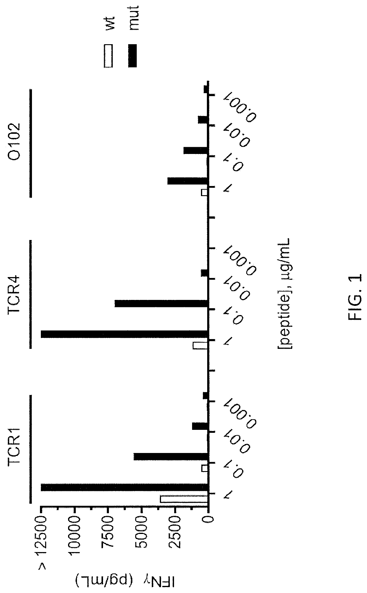 T cell receptors recognizing mutated p53