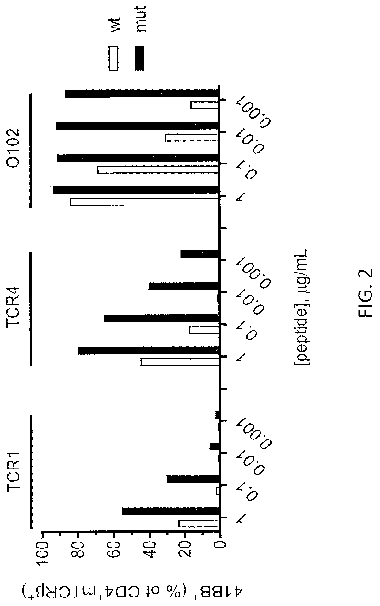 T cell receptors recognizing mutated p53