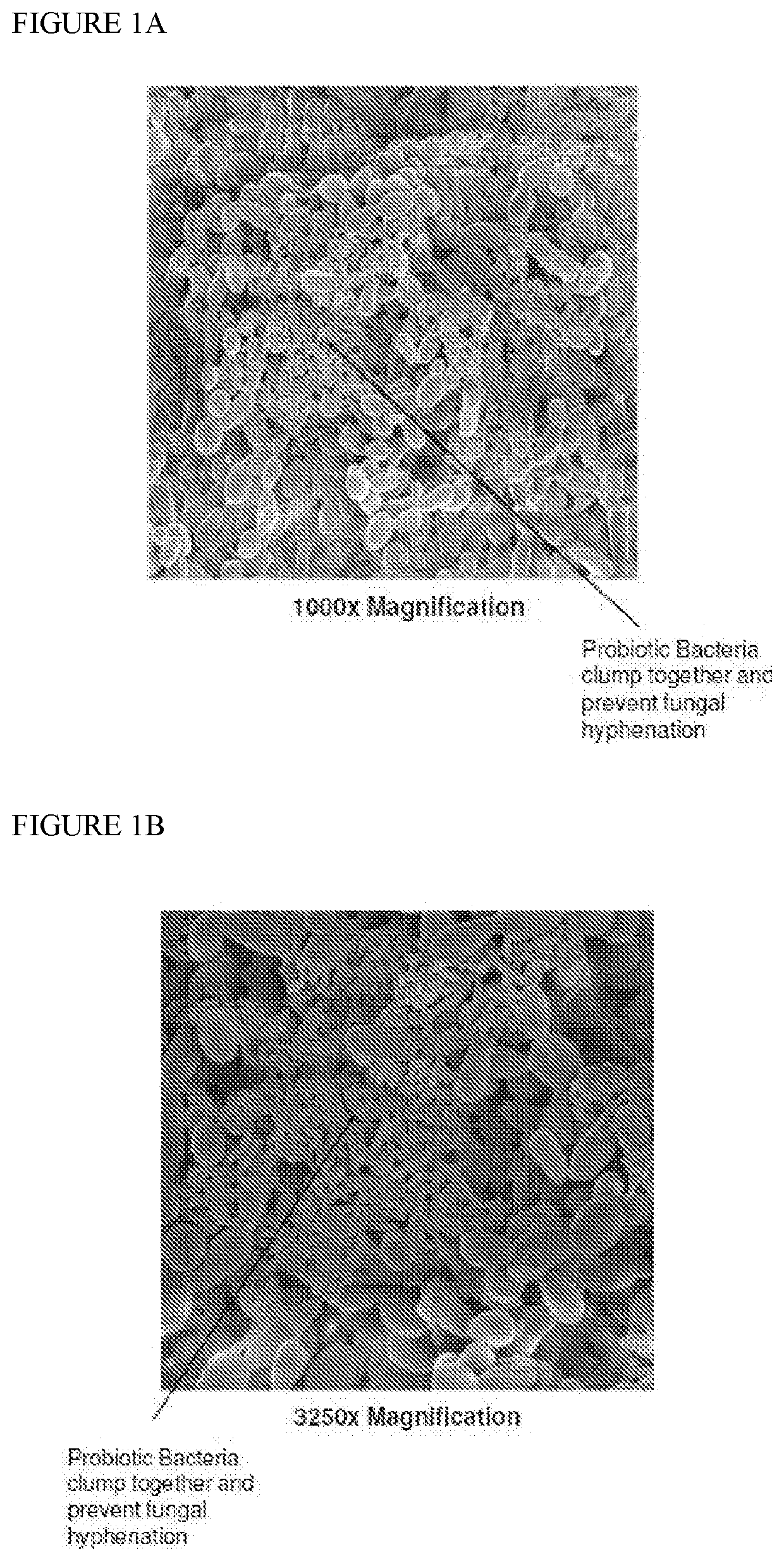 Compositions for use in balancing microbiome