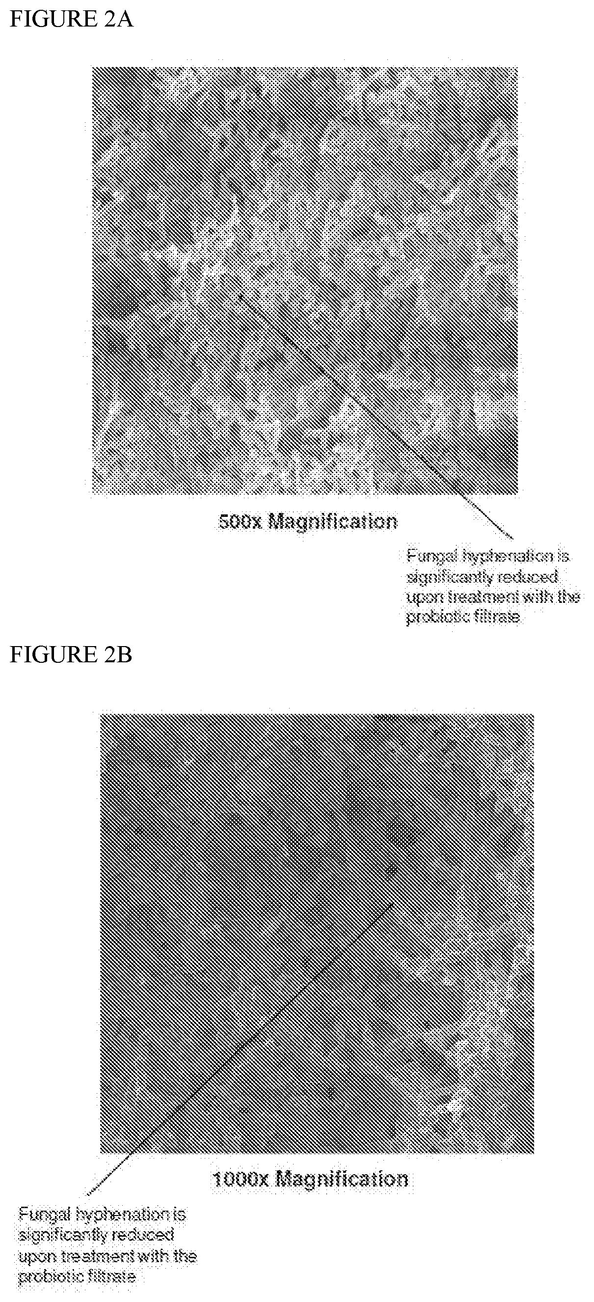 Compositions for use in balancing microbiome