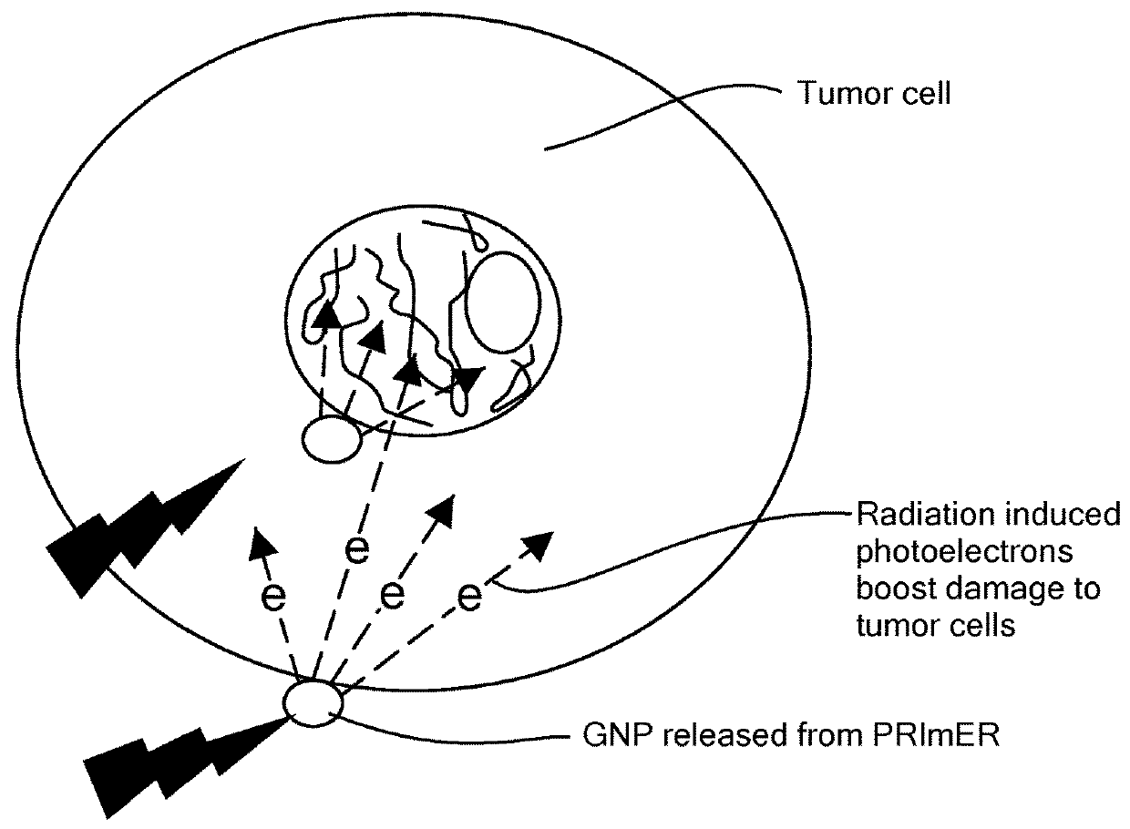 Biomaterials for combined radiotherapy and immunotherapy of cancer