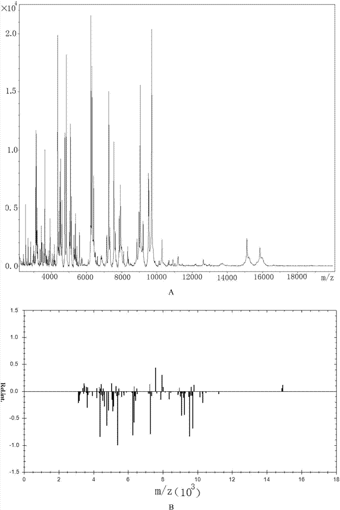 Microbe culture solution treatment method applicable to MALDI-TOF detection and rapid identification method