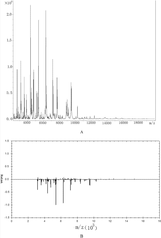 Microbe culture solution treatment method applicable to MALDI-TOF detection and rapid identification method