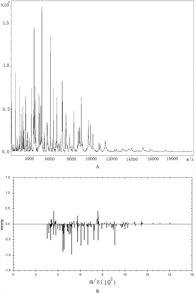 Microbe culture solution treatment method applicable to MALDI-TOF detection and rapid identification method