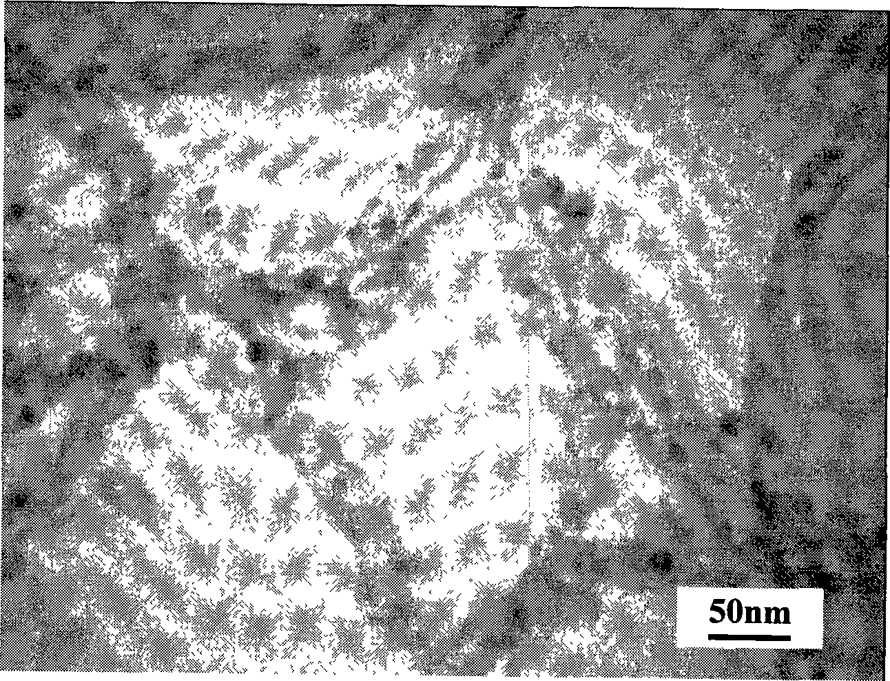 Method for filling carbon nano tube with magnetic nano metal iron particles