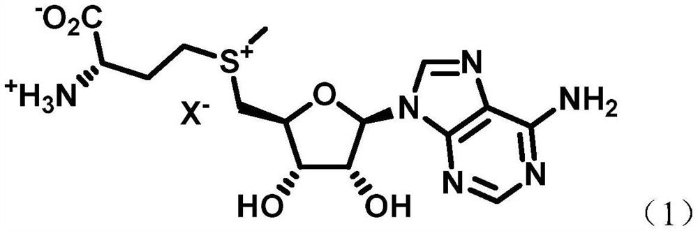 Topical compositions and methods of using same to resist mitochondrial fragmentation