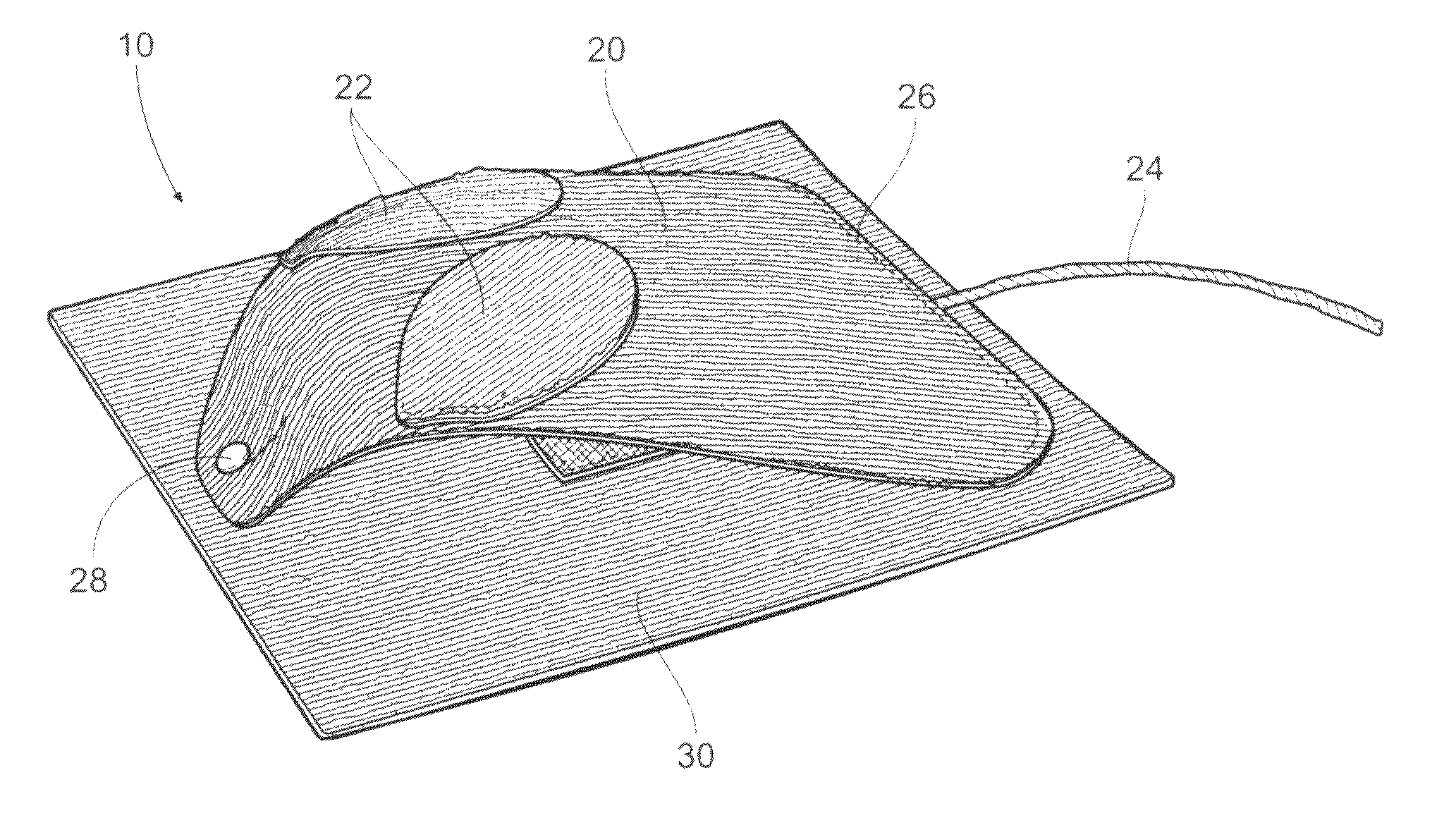 Attractant enhanced apparatus for cats