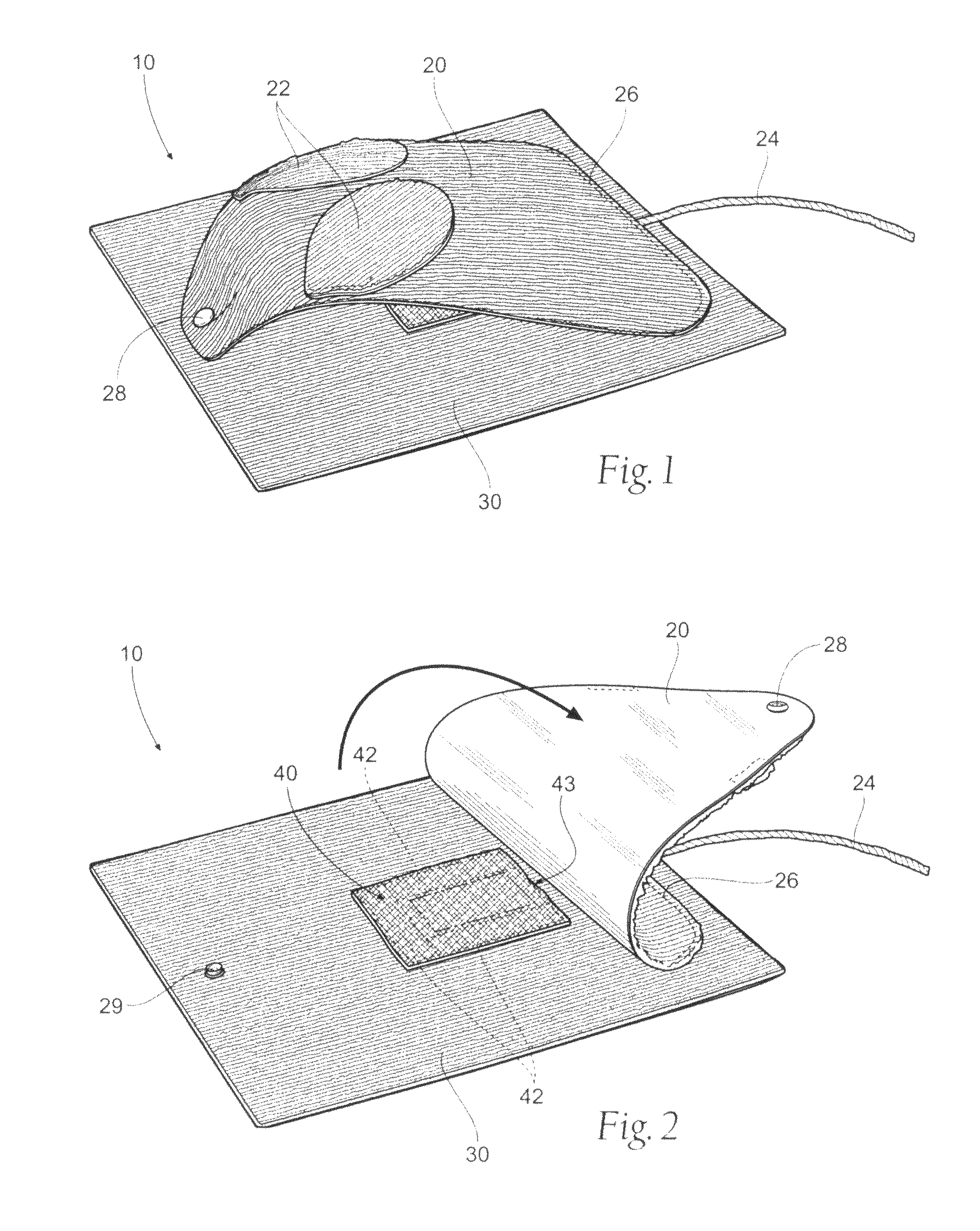 Attractant enhanced apparatus for cats