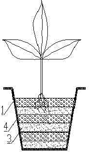 A composite molding sand planting structure