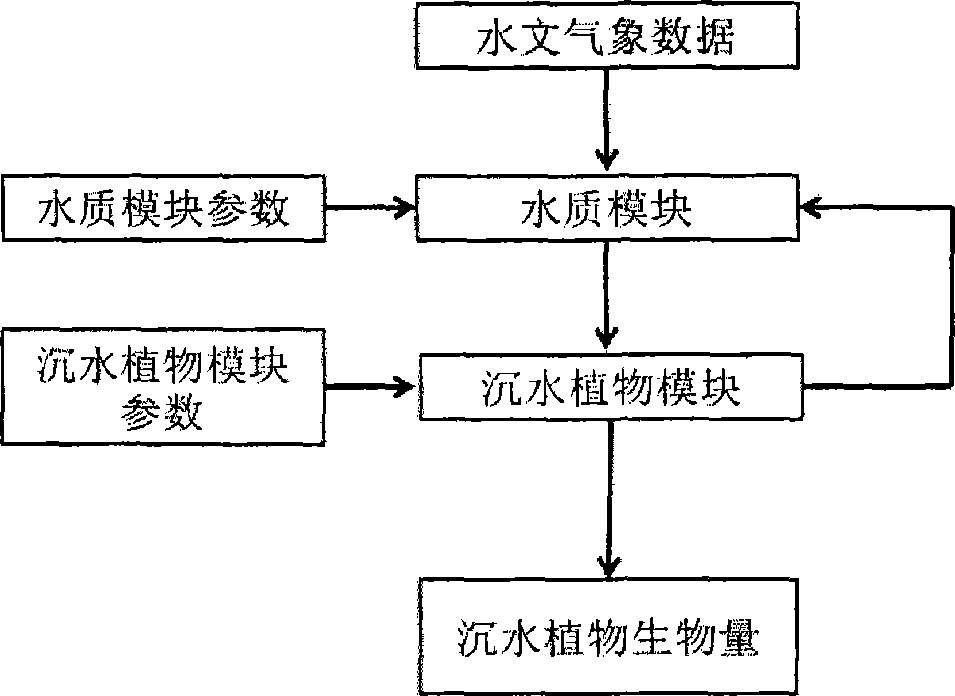 Method for predicating biomass of submerged plant by establishing growth simulation model