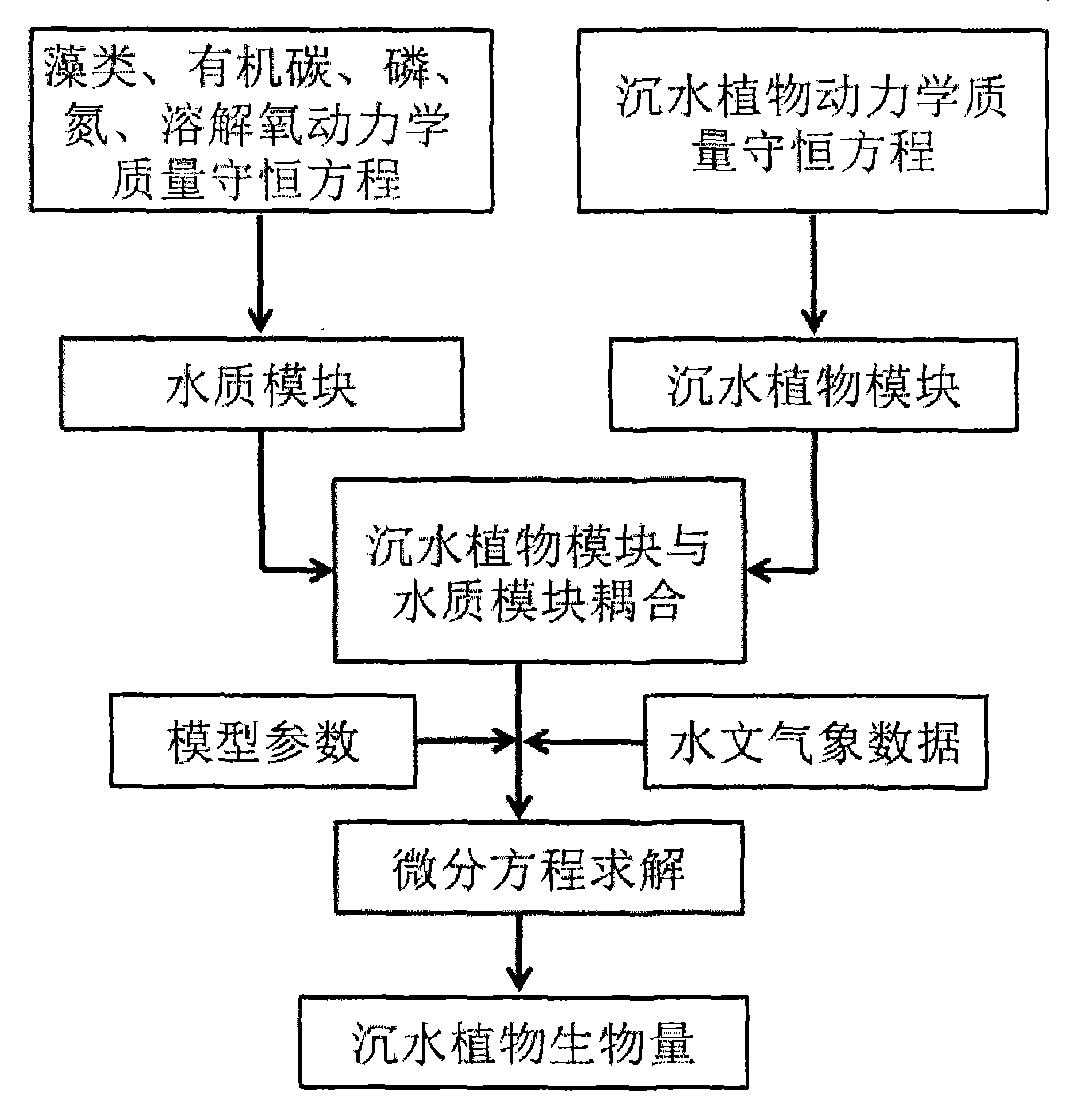 Method for predicating biomass of submerged plant by establishing growth simulation model