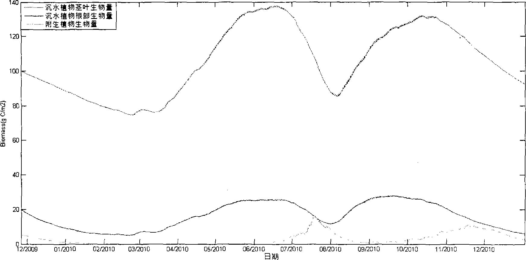 Method for predicating biomass of submerged plant by establishing growth simulation model