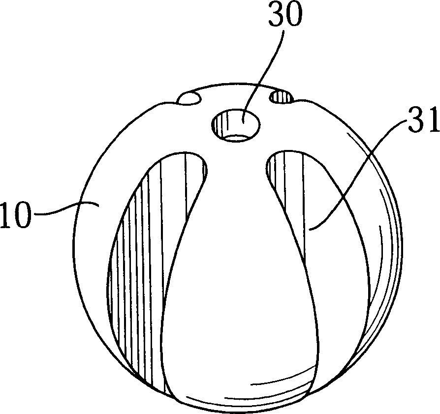 Exhaust gas purifying device