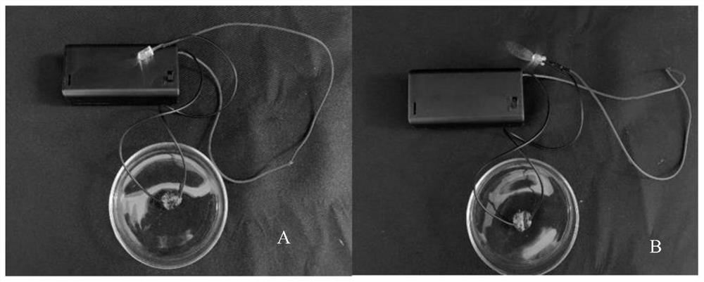 Degradable self-repairing conductive hydrogel, preparation method and application thereof