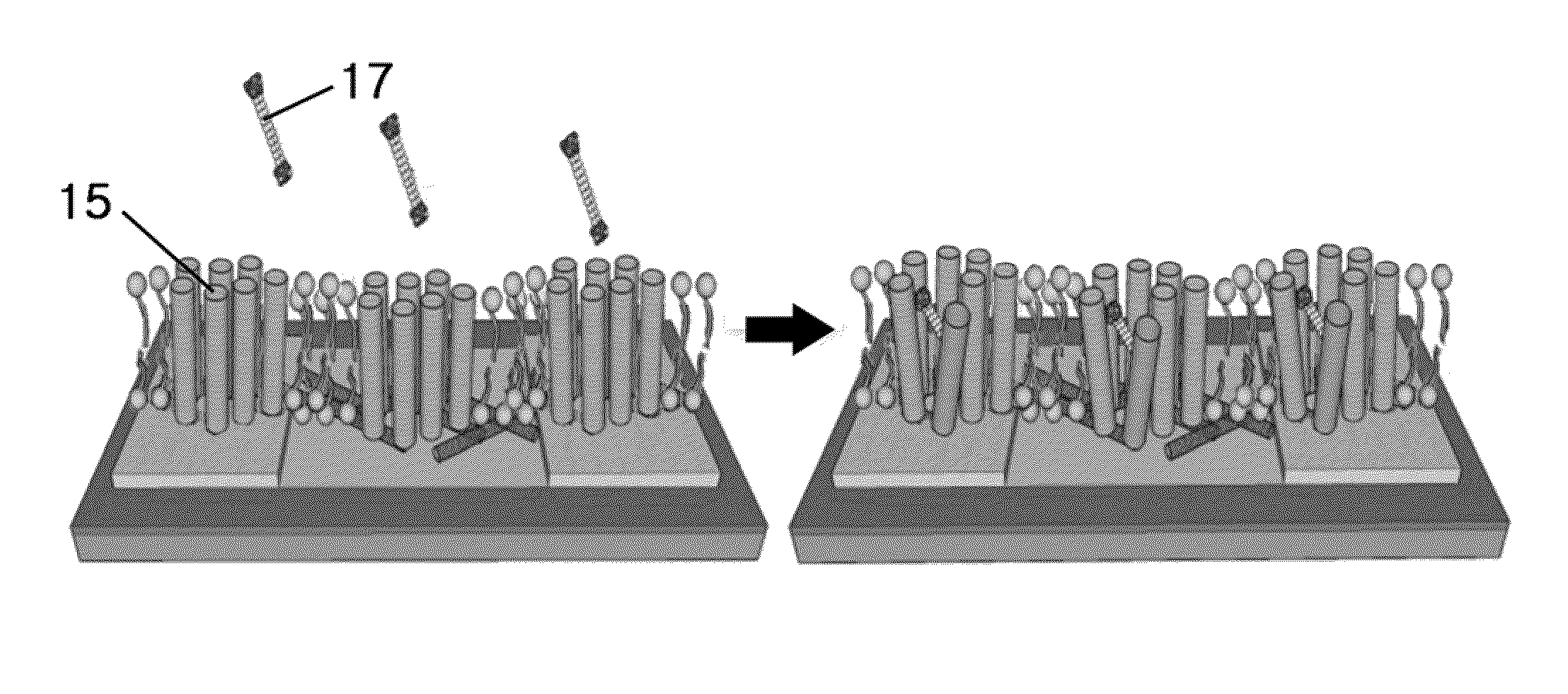 Olfactory receptor-functionalized transistors for highly selective bioelectronic nose and biosensor using the same