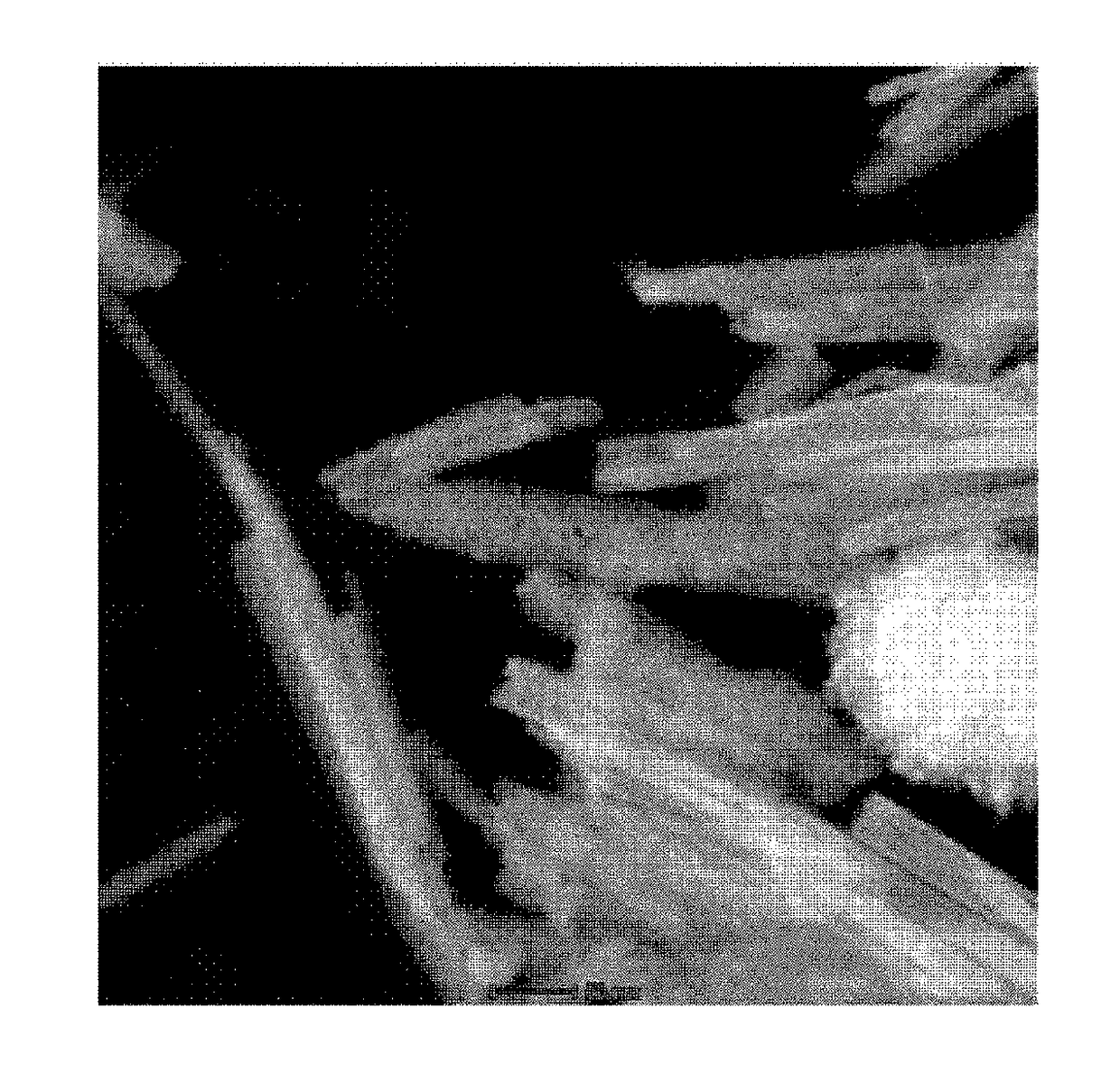 Graphene/porous iron oxide nanorod composite and manufacturing method thereof