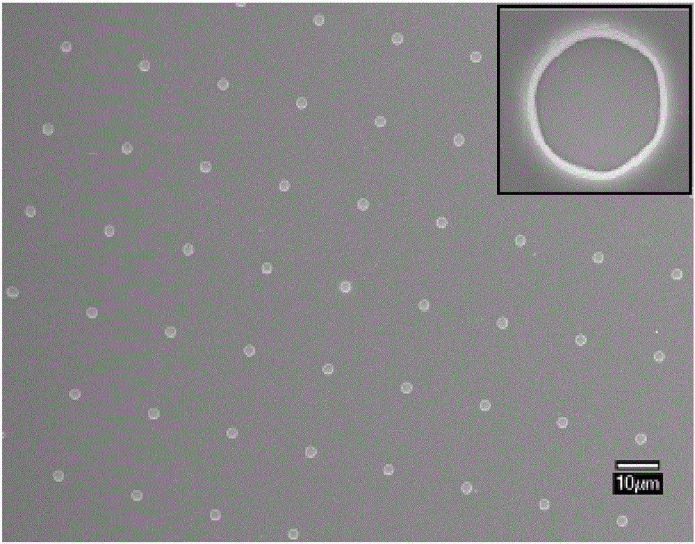 Preparation method for metal nanometer/micrometer dendritic crystal ordered array