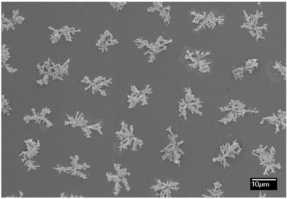 Preparation method for metal nanometer/micrometer dendritic crystal ordered array