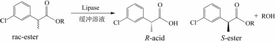 A kind of stereoselective enzyme-catalyzed hydrolysis resolution method for enantiomers of 2-(3-chlorophenyl)propionic acid