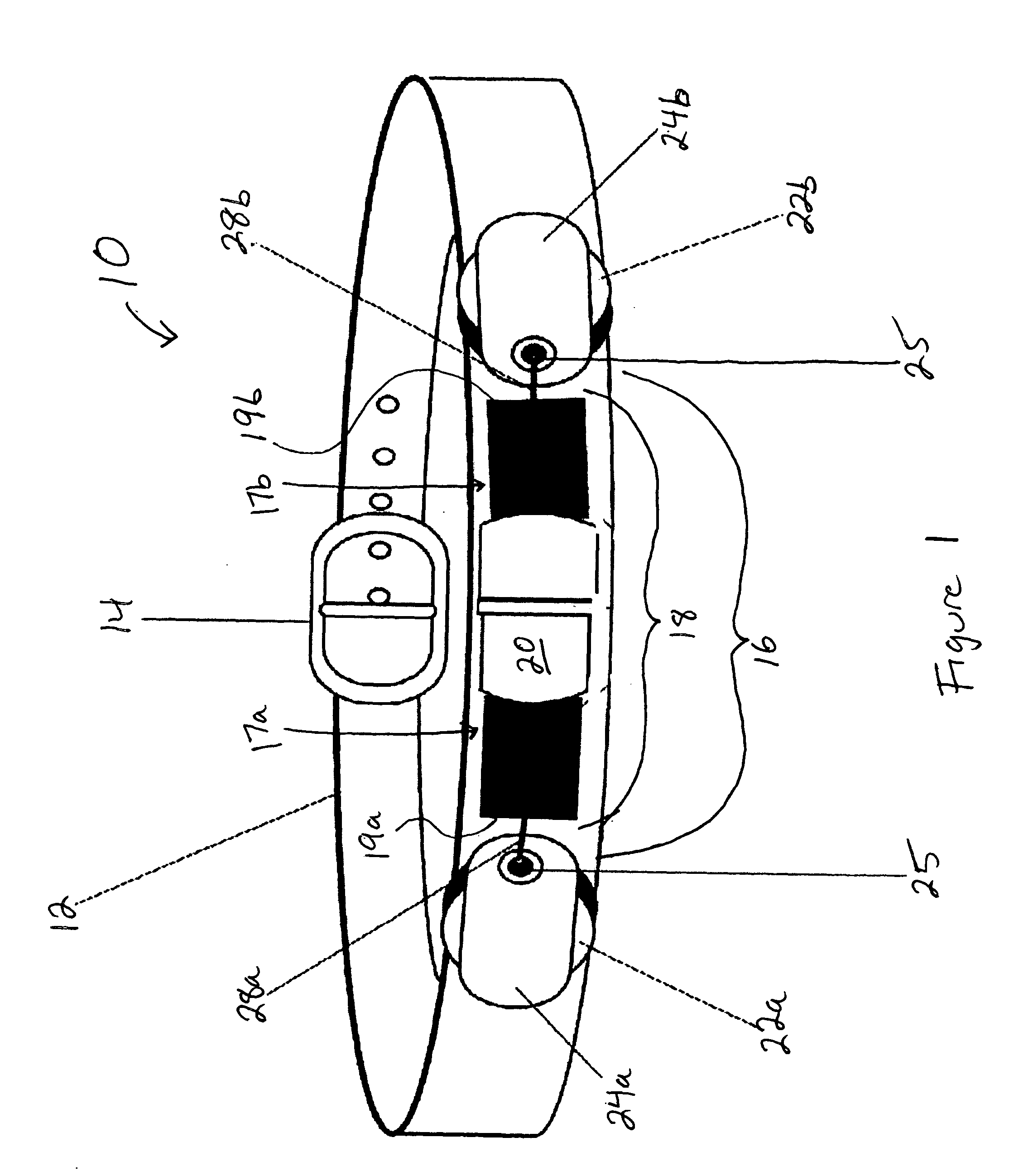 Pet collar with retractable leash