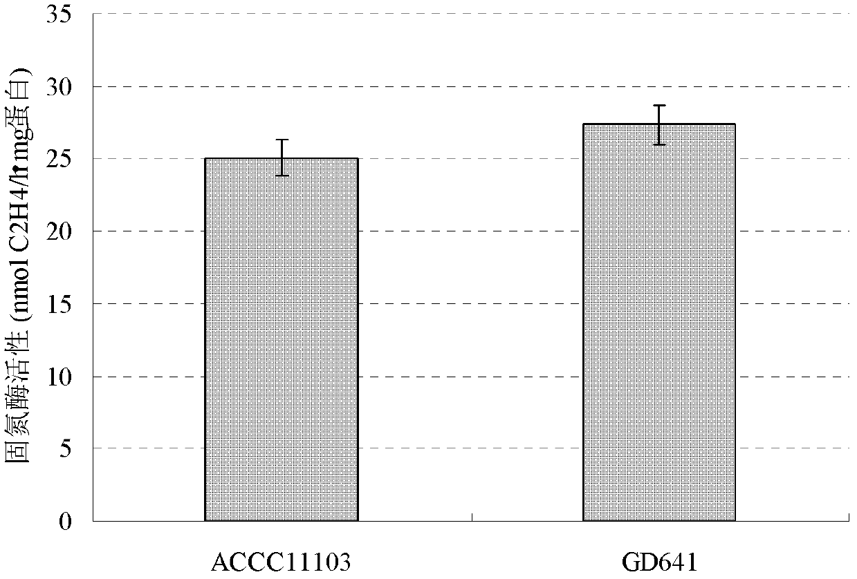 Wheat rhizosphere azotobacter for antagonism of various pathogenic fungi and application of wheat rhizosphere azotobacter