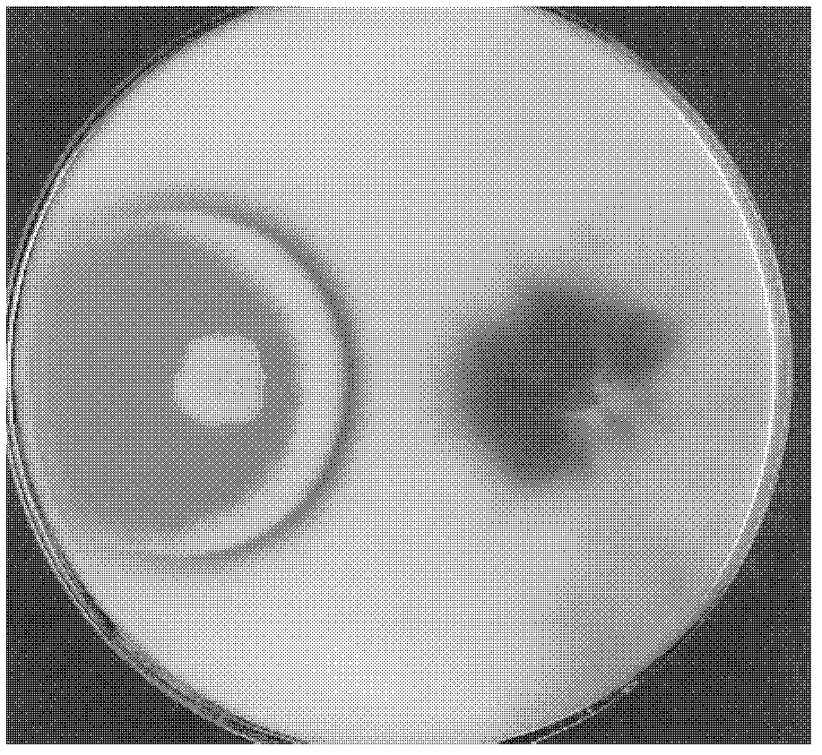 Wheat rhizosphere azotobacter for antagonism of various pathogenic fungi and application of wheat rhizosphere azotobacter