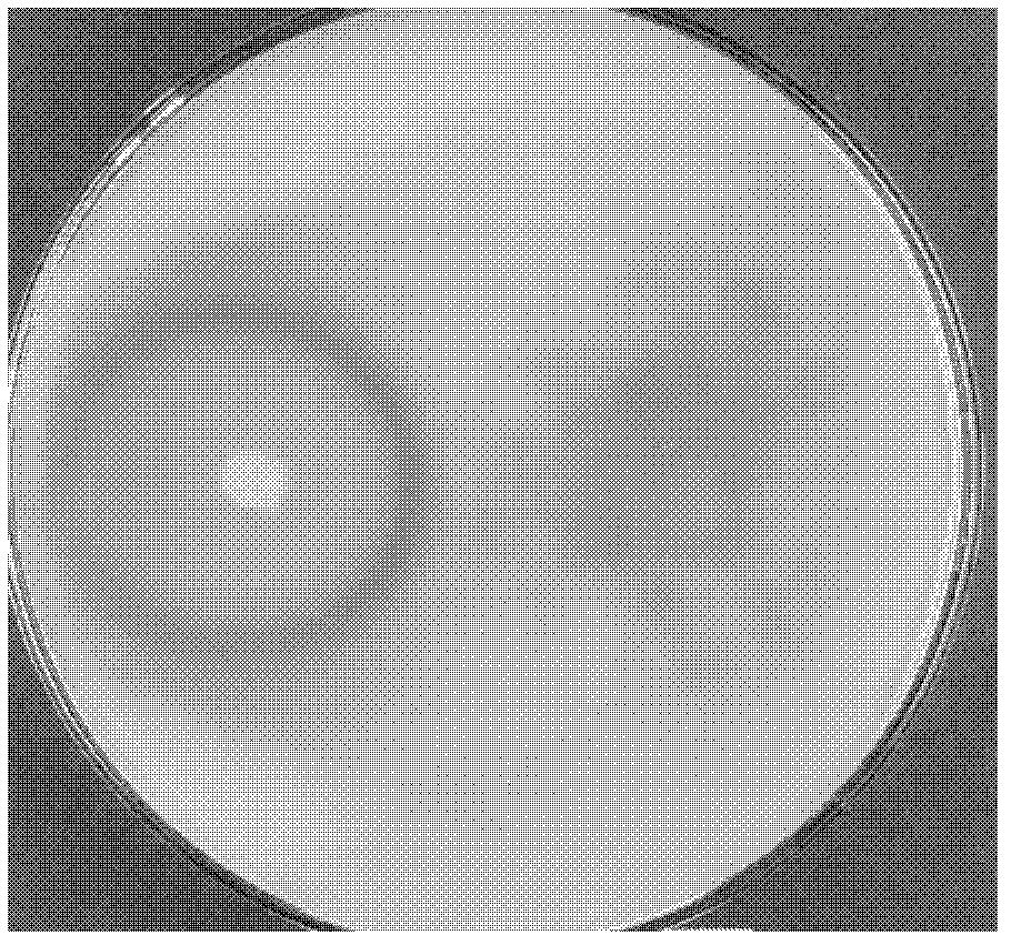 Wheat rhizosphere azotobacter for antagonism of various pathogenic fungi and application of wheat rhizosphere azotobacter