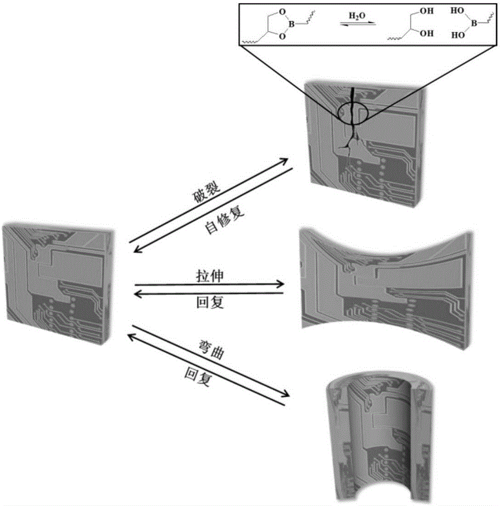 Self-repairing flexible printed circuit board and preparation method thereof