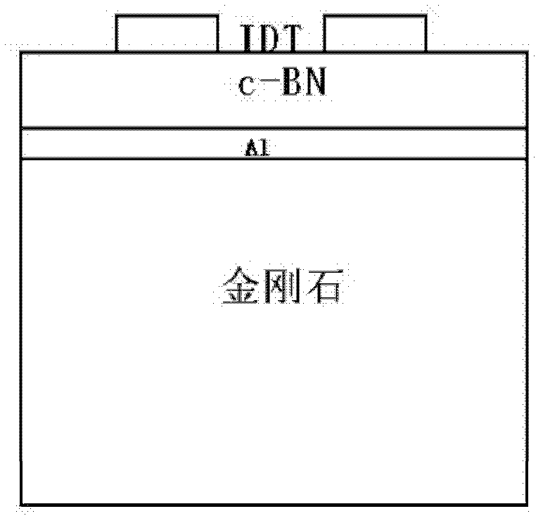 Cubic boron nitride piezoelectric film surface acoustic wave device and preparation method thereof