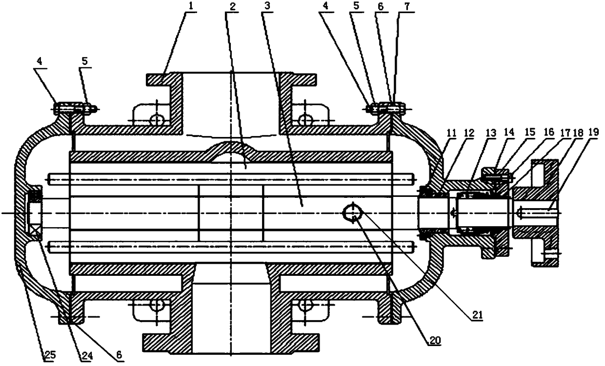 Screw oil pump of carbon dioxide compressor