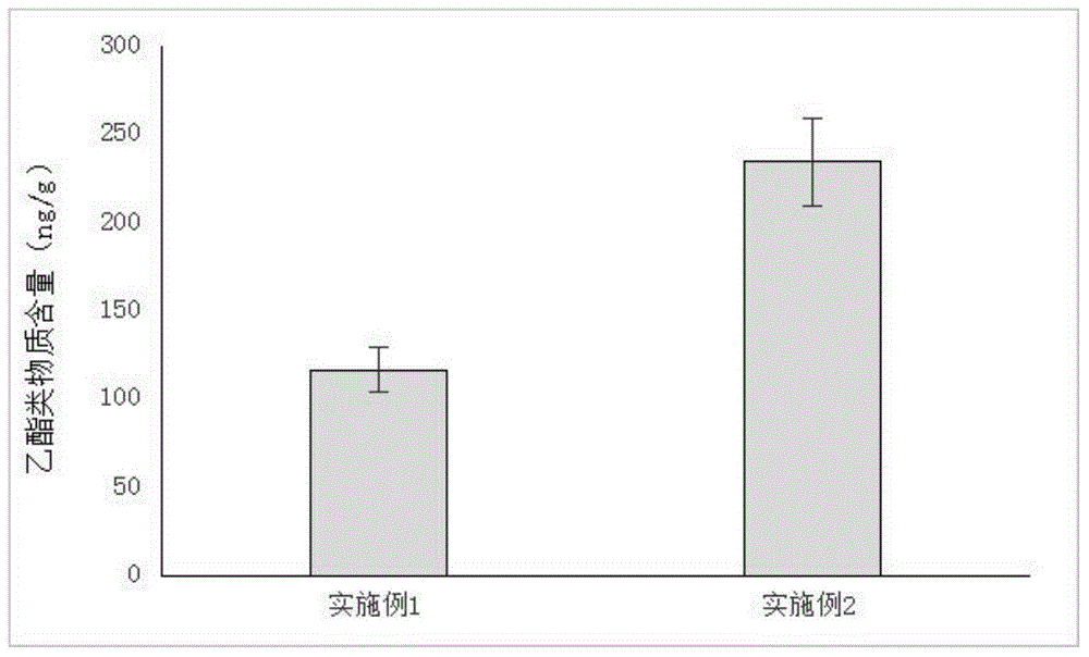 Lactobacillus plantarum for highly producing ethyl caprate and application of lactobacillus plantarum