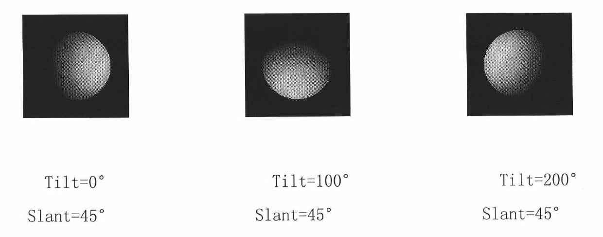 A Method for Reconstructing Hemisphere's 3D Surface Shape Using Control Point Information