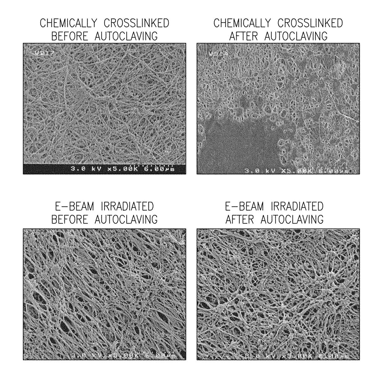 Permanent hydrophilic porous coatings and methods of making them