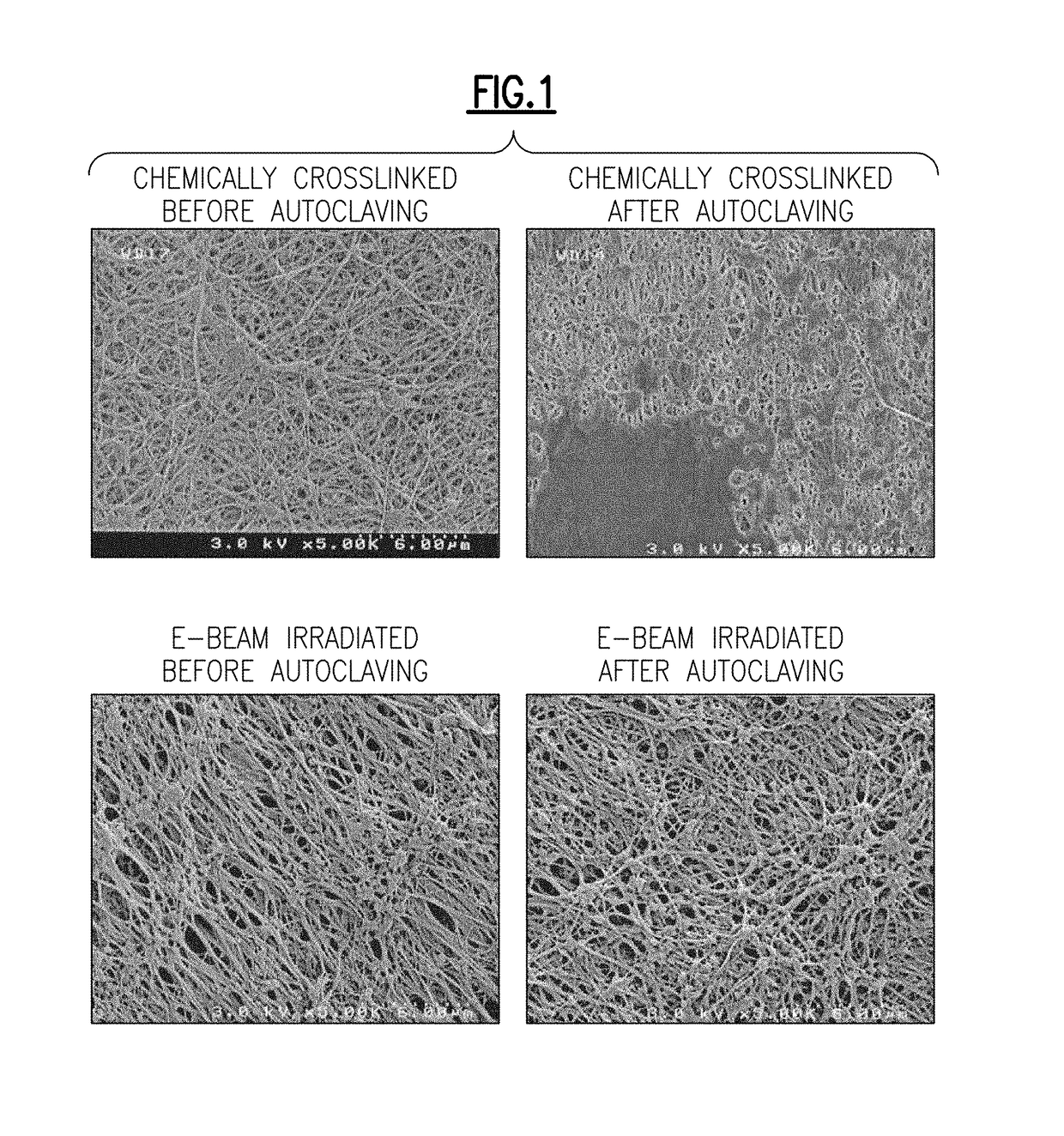 Permanent hydrophilic porous coatings and methods of making them