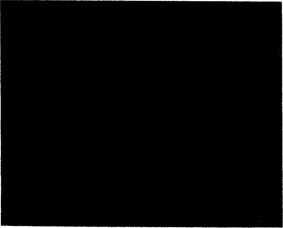 Method for preparing super high molecular polythene porous membrane by thermally phase separation method