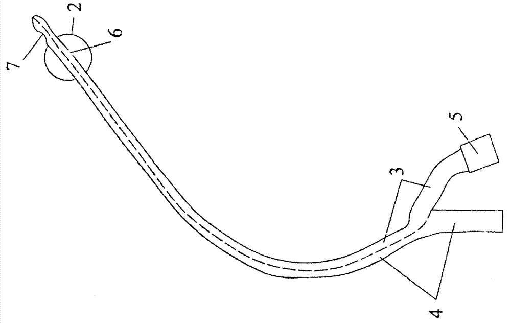 Bionic urethral catheterization device