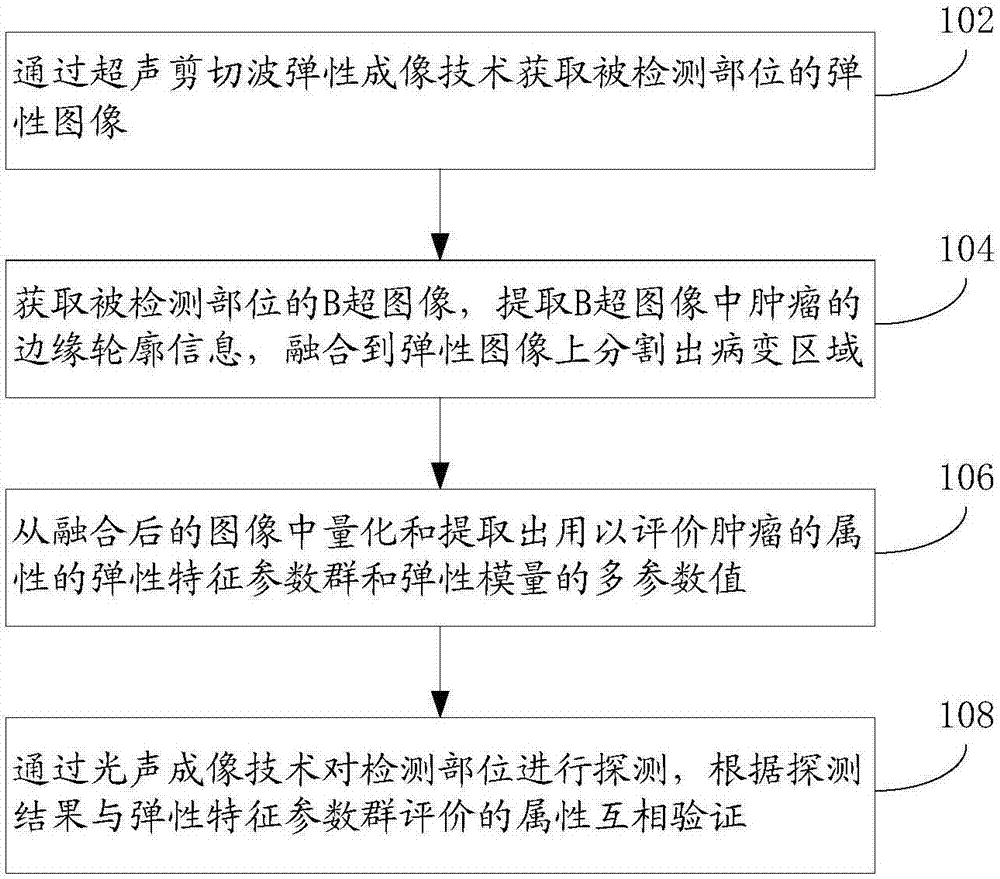 Analyzing and processing method and device for tumor image